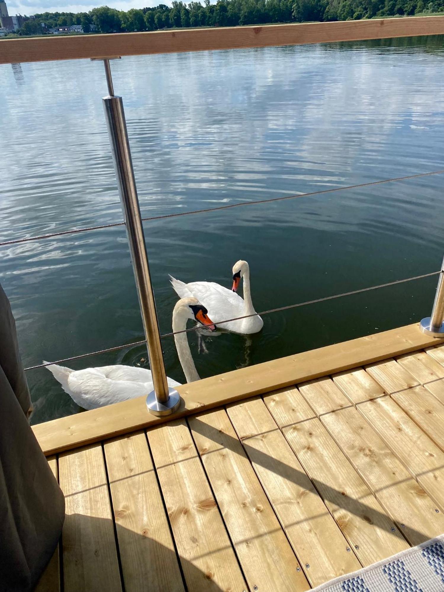 Ferienhaus Hausboot Snowbird Mit Grossem Sonnendeck *